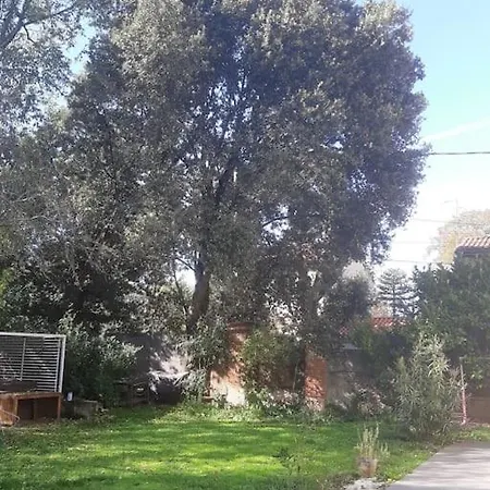 Canto Laouzetto * Toulouse